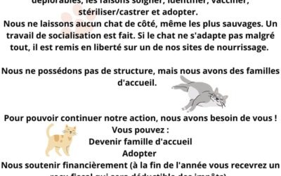 Bienvenue sur le site de notre association !