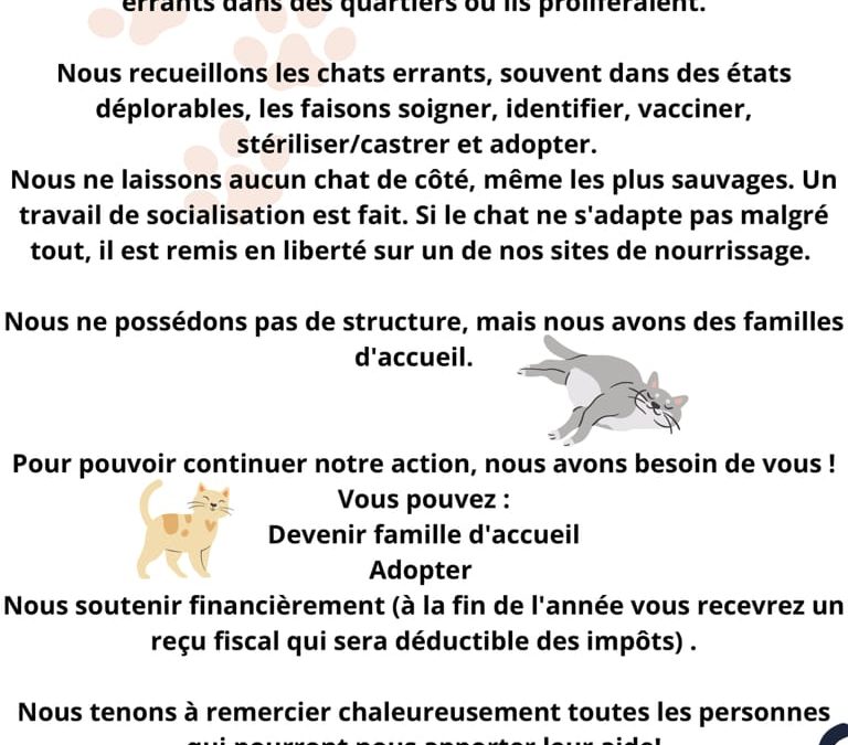 Bienvenue sur le site de notre association !