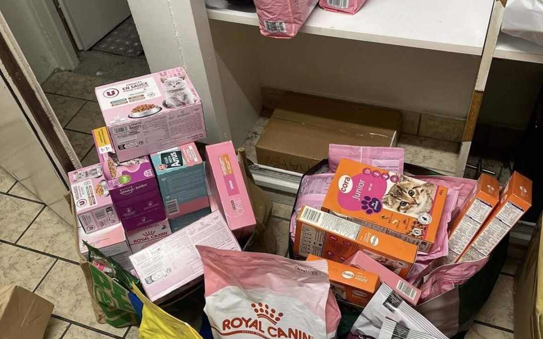Photo de dons pour l'association stérilise ton chat 68 à Mulhouse et Rixheim