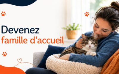 ❤️🐾 Un toit, une chance, une vie 🐾❤️
